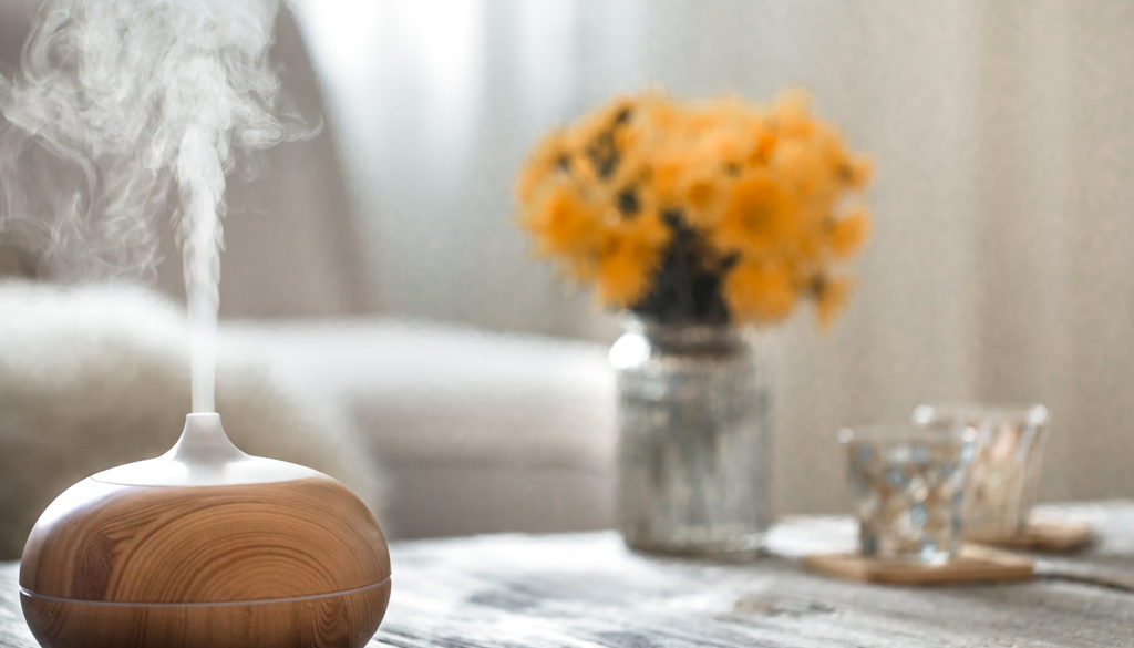 How to Keep Your Home Smelling Fresh: Tips for Deodorizing Your Home 6 fresh smelling home