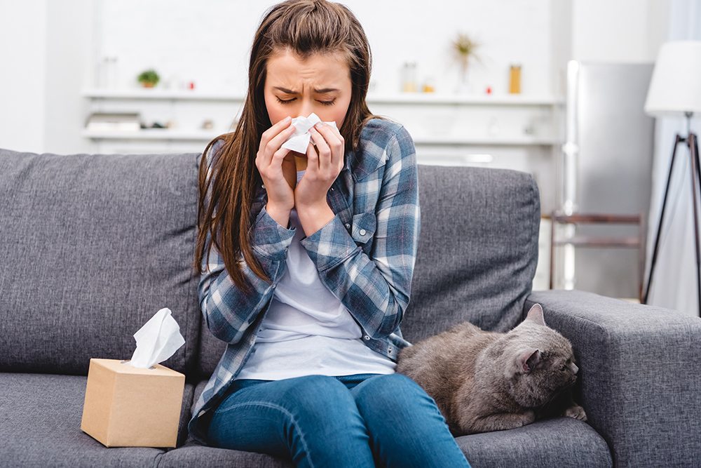 reduce indoor allergens
