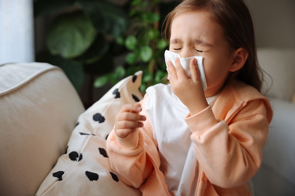 Breathe Easy: Enhancing Indoor Air Quality in Minnesota Homes During Spring Allergy Season with Minnesota Home Cleaning Services 4 Minnesota home cleaning services